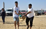 Une tortue d'une espèce protégée est relâchée sur la côte de Sfax, dans le centre-est de la Tunisie, le 15 octobre 2023