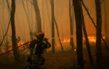 Un pompier grec arrose les flammes lors d’un incendie de forêt dans la région de Porto Germeno, le 1er août 2026