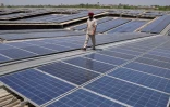 Des panneaux solaires, le 17 mai 2016 près d'Amritsar, en Inde