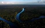 Vue aérienne de la rivière Manicoré, en Amazonie, dans l'Etat brésilien de l'Amazonas, le 7 juin 2022