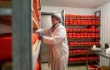 Izabela Ciesielska entrepose ses fromages de chèvre dans la chambre froide de son exploitation agricole "Nad Arem" installée en Mazurie (nord-est de la Pologne), le 15 mai 2020