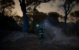 Des pompiers interviennent sur un incendie de forêt dans une zone forestière de Puerto Real près de Cadix dans le sud de l'Espagne, le 6 août 2023
