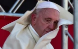 Le pape lors d'un rassemblement au stade Rommel Fernandez Stadium de Panama City, le 27 janvier 2019