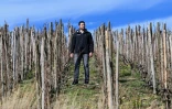 Michaël Gerin, 33 ans, qui gère le domaine Jean-Michel Gerin à Ampuis (Rhône) avec son frère, pose le 25 novembre 2020