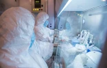 Des spécialistes de l'Institut de lutte contre la peste d'Irkoutsk travaillent en laboratoire, en 2019, selon une photo non datée diffusée par cet établissement