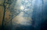 Un pompier dans une forêt incendiée à Sarande, en Albanie, le 12 août 2025