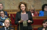 La députée Anne-Cécile Violland (Horizons) s'exprime à l'Assemblée nationale, à Paris, le 21 janvier 2025