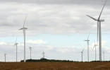 Un parc d'éoliennes, le 18 août 2016 à Guillonville, dans le centre de la France