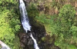 Le lieu où a été retrouvé Amanda Eller le 24 mai 2019, dans la Makawao Forest Reserve sur l'île Maui dans l'archipel d'Hawaï
