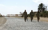 Des soldats syriens après avoir repris Palmyre au groupe Etat islamique (EI), le 27 mars 2016 
