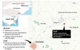 Etats-Unis : état d'urgence à Charlotte