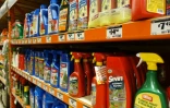 Des étagères de pesticides dans un magasin de Miami, le 9 août 2016