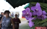 4ème édition du Festi-Plantes au Parc du Colosse à Saint-André (photo: Thomas Vitry)