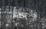 Des pompiers au milieu des arbres calcinés par un incendie de forêt à Taradeau, le 20 juillet 2026 dans le Var