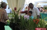 4ème édition du Festi-Plantes au Parc du Colosse à Saint-André (photo: Thomas Vitry)