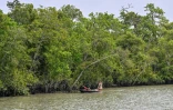 Des pêcheurs sur la rivière Kholpetua à Kalabogi, dans le district de Khulna, près des Sundarbans, une mangrove en proie à des pirates qui ciblent les pêcheurs, le 30 mars 2026 au Bangladesh