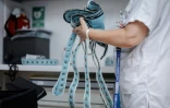 Une soignante manipule des sangles au Centre renforcé d'urgences psychiatriques à l'hôpital Delafontaine de Saint-Denis en Seine-Saint-Denis, où la consigne est de n'utiliser la contention qu'en tout dernier recours, le 17 juin 2026