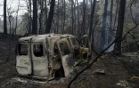 La carcasse d'un véhicule après un incendie près de Nigran, au nord-ouest de l'Espagne, le 16 octobre 2017