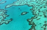 Vue aérienne de la Grande barrière de corail, le 20 novembre 2014 en Australie