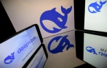 Les géants technologiques sont également portés par l'optimisme des investisseurs face aux avancées chinoises en matière d'IA, avec le succès du robot conversationnel de la startup DeepSeek