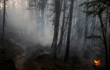 Un feu de forêt près deu village de Bias-Kiouïol (Russie) le 26 juillet 2021