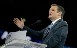 Le candidat républicain Ted Cruz le 21 mars 2016 à   Washington