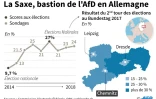 La Saxe, bastion de l'AfD en Allemagne