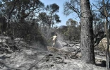 Un pompier s'active dans une zone brûlée d'un Club Méditerranée abandonné à Lambiri, à l'est de Patras (Grèce), le 1er août 2021