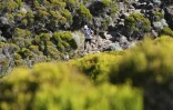 Vendredi 23 octobre 2009 - Grand raid -

Le Piton des Neiges