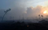 Feux de forêt à Cissac-Médoc, dans le sud-ouest de la France, le 20 avril 2017