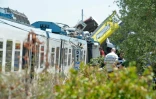 Des équipes de secours à l'oeuvre après la collision de deux trains, le 12 juillet 2016 près de Corato en Italie