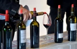 Dégustation de vin à Saint-Emilion, le 5 avril 2016 