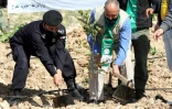 Des Jordaniens plantent un arbre le 11 février 2021 près de la forêt de Kufranjah, dans le gouvernorat d'Ajloun, à 70 km au nord d'Amman, en Jordanie