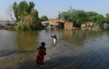 Des habitants quittent leur maison inondée à Shikarpur, dans la province du Sind, le 31 août au Pakistan