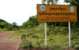 Une route menant à une station de réintroduction de tigres dans le parc national des Cardamomes, dans la province de Koh Kong, le 11 juin 2026 au Cambodge
