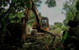 Une pelleteuse en action dans le cadre d'un vaste projet de pôle technologique, le 23 juin 2026 dans le secteur des Nouveaux Territoires, à Hong Kong 