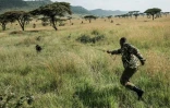 Dans la savane kényane, le chien est le meilleur ami des animaux menacés par le braconnage
