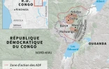 La présence du groupe Forces démocratiques alliées (ADF) en RD Congo