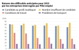 Nature des difficultés de recrutement