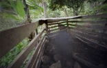 Passeurs d'images à Mafate