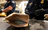 Un paquet rempli de pilules estampillées "oxycodone" découvert au centre de tri postal de l'aéroport John F. Kennedy, le 24 juin 2019à New York