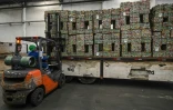 Des palettes de canettes compressées dans un hangar de l'entreprise Latasa Garimpeiro Urbano, le 26 juin 2023 à Sao Paulo, au Brésil