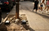 Ces boites noires dans une rue de New York le 1er août 2025 doivent, par une méthode contraceptive, faire baisser la population de rat dans la ville