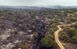Plan aérien de la végétation ravagée par un incendie dans le secteur de Fresnedillas, près d'El Escorial, à 60 km au nord-ouest de Madrid, le 25 juillet 2026