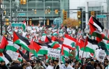 Manifestation de soutien aux Palestiniens à Detroit, le 28 octobre 2023 dans le Michigan