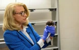 La chercheuse Kelly Lambert à l'université américaine de Richmond, en Virginie, le 2 août 2022