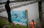 "Ici, commence la mer, protégeons-là": le long de la Seine, à Rouen une affiche invite à protéger le fleuve de la pollution, le 28 mars 2023