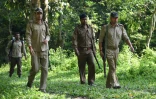 Des gardes forestiers légèrement armés en patrouille le 2 juin 2016 dans le parc national de Kaziranga en Inde