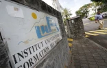 IUFM (institut universitaire de formation des maîtres)
