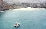 Photo prise et publiée le 13 décembre 2019 par les forces néo-zélandaises recherchant des corps de victimes après l'éruption meurtrière d'un volcan sur White Island